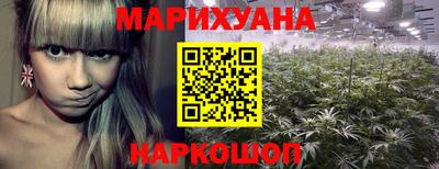 МДПВ Аша